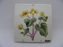 Caltha Palistris Wall Plate Svea Granlund SOLD OUT