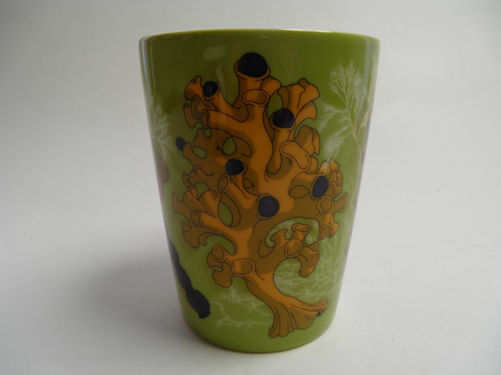 Anemone Iittala Graphics muki MYYTY - Image 2