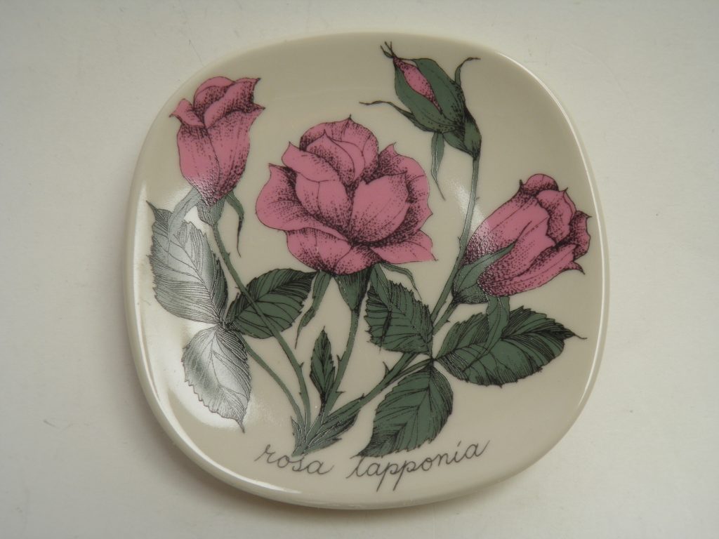 Rosa Lapponia Esteri Tomula MYYTY