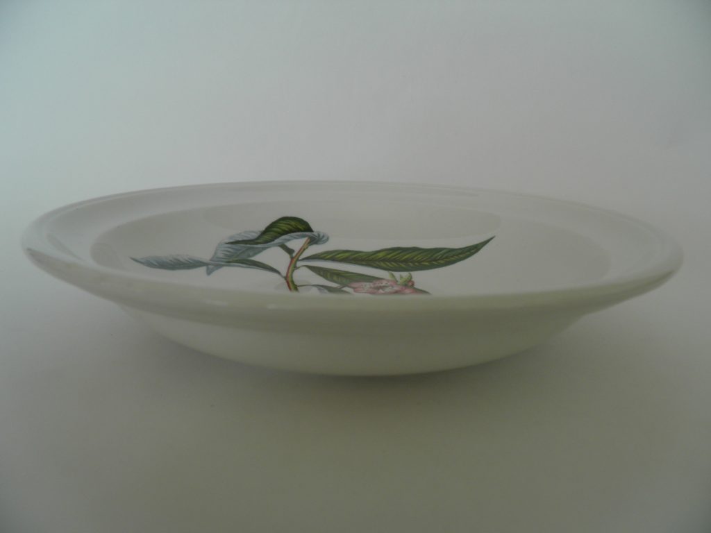 Pomona Portmeirion keittolautanen Persikka MYYTY - Image 2