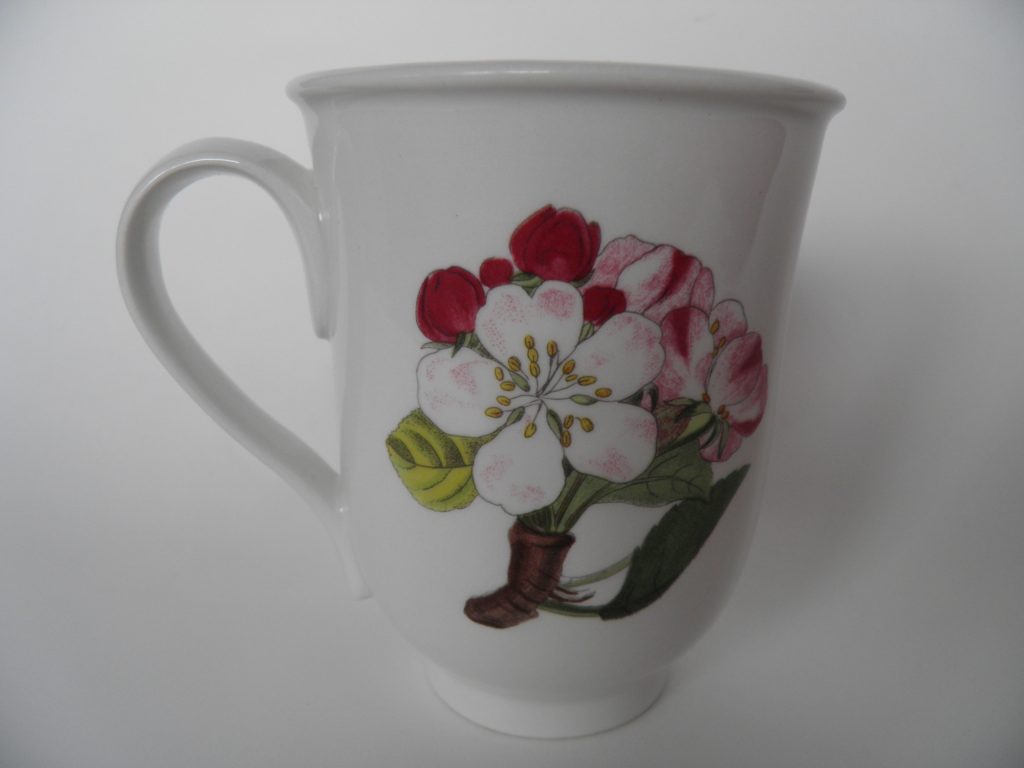 Pomona Portmeirion muki Persikka MYYTY - Image 2